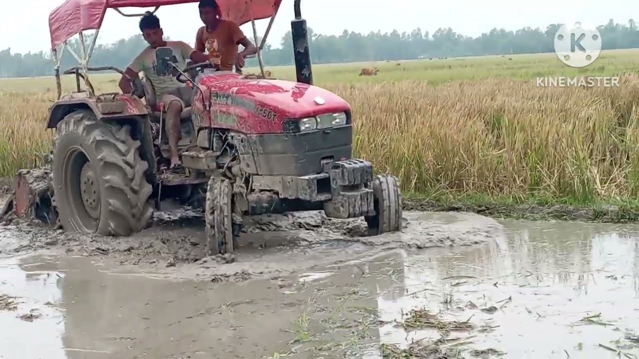 বর্ষা মৌসুমে ট্রাক্টর দিয়ে জমি চাষ করা দেখুন।See plowing land with tractors in monsoon season.