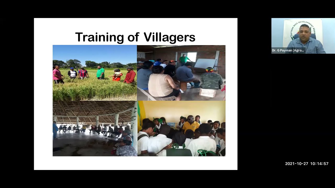 WEBINAR - Rice Cultivation In Hinterland Regions