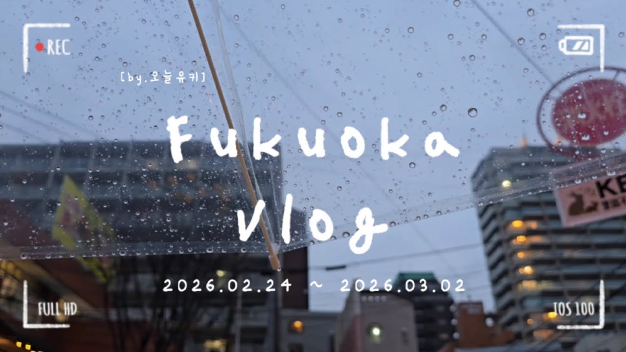 후쿠오카 VLOG | ???: 에바에 타라 | 올해도 돌아온 스타벅스 사쿠라🌸 | 생필품은 왜 한꺼번에 떨어지나 | 2월,3월 짧은 일상 브이로그🫶