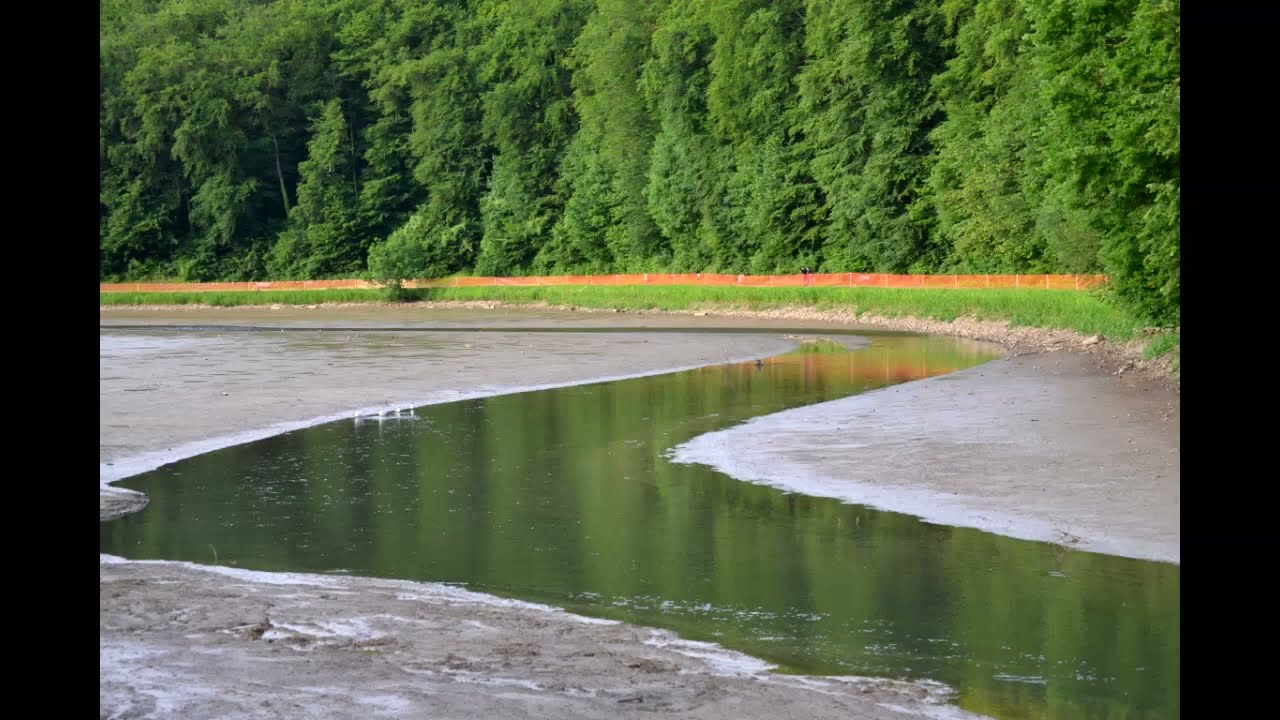 En 2012 plan d'eau de la sangsue Briey