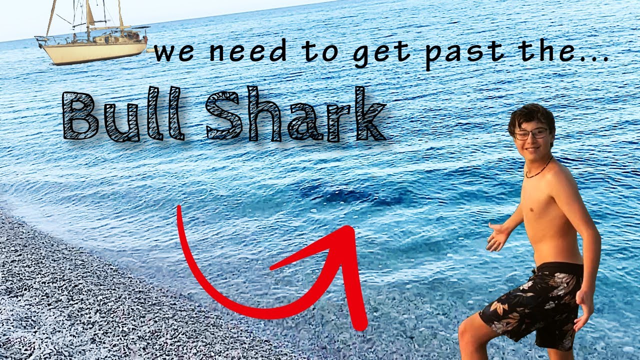218i Sailing Up Australia’s East Coast | Close Encounter with a Bull Shark Near Shore