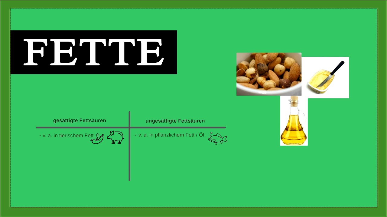 Macht Fett fett?  Essentielle (!) Fettsäuren in Lebensmitteln - Empfehlungen der DGE | BASICS #2