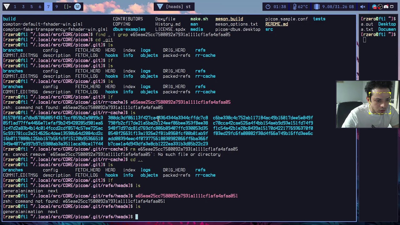 Picom - C programming - open for questions