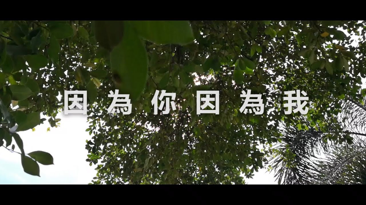 因為你因為我 - 二胡伴唱版