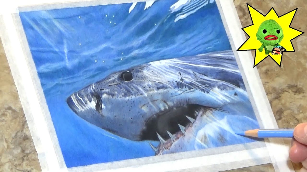 Great White Shark #3 (Time Lapse Colored Pencil Sketch)