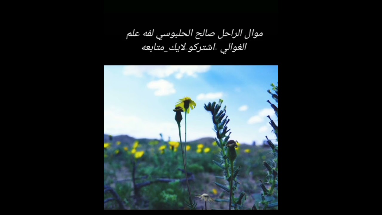 موال للفنان المرحوم صالح الحلبوسي لفه علم الغوالي