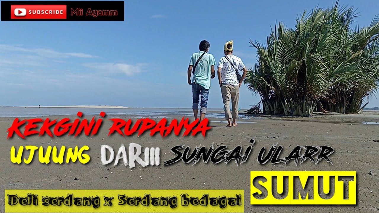 BEGINI RUPANYA ujung dari ALIRAN SUNGAI ULAR #tamoraku #miiayammchannel #sungai #pantai #muara