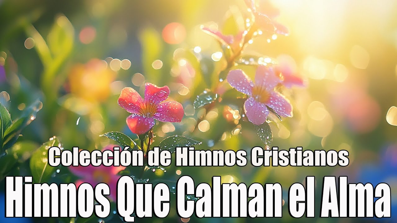 Himnos Que Calman el Alma 💫 Música Cristiana de Paz y Esperanza