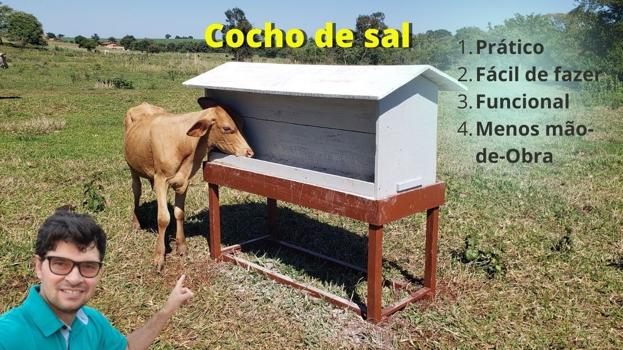 Cocho Sal prático, barato e fácil de fazer!!!!!!