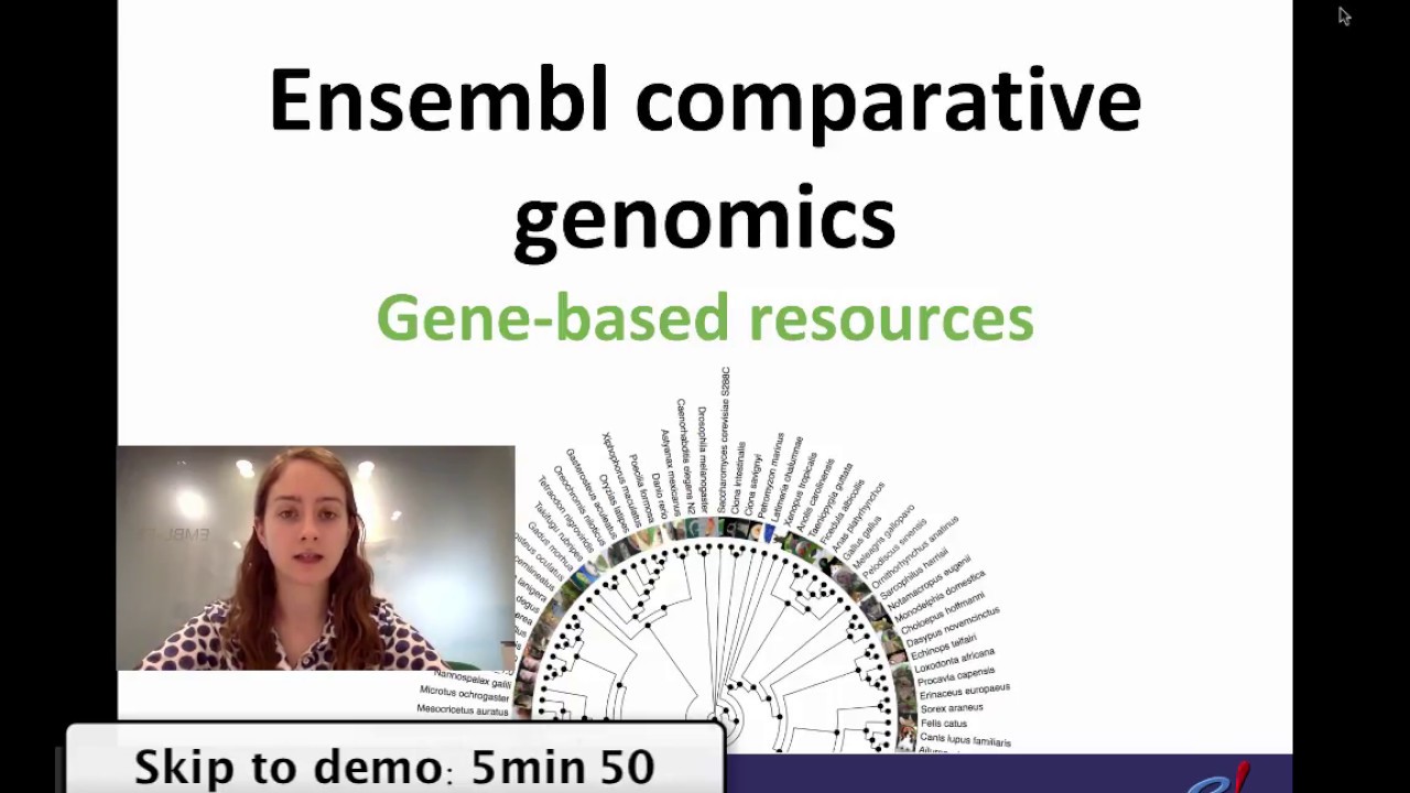 Comparative genomics data in Ensembl, 1:  Homology and gene trees