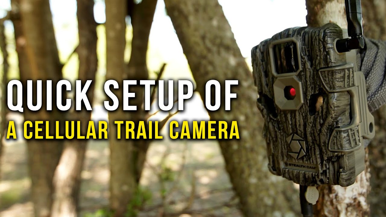 Как настроить камеру Stealth Cam Fusion Cellular Trailer