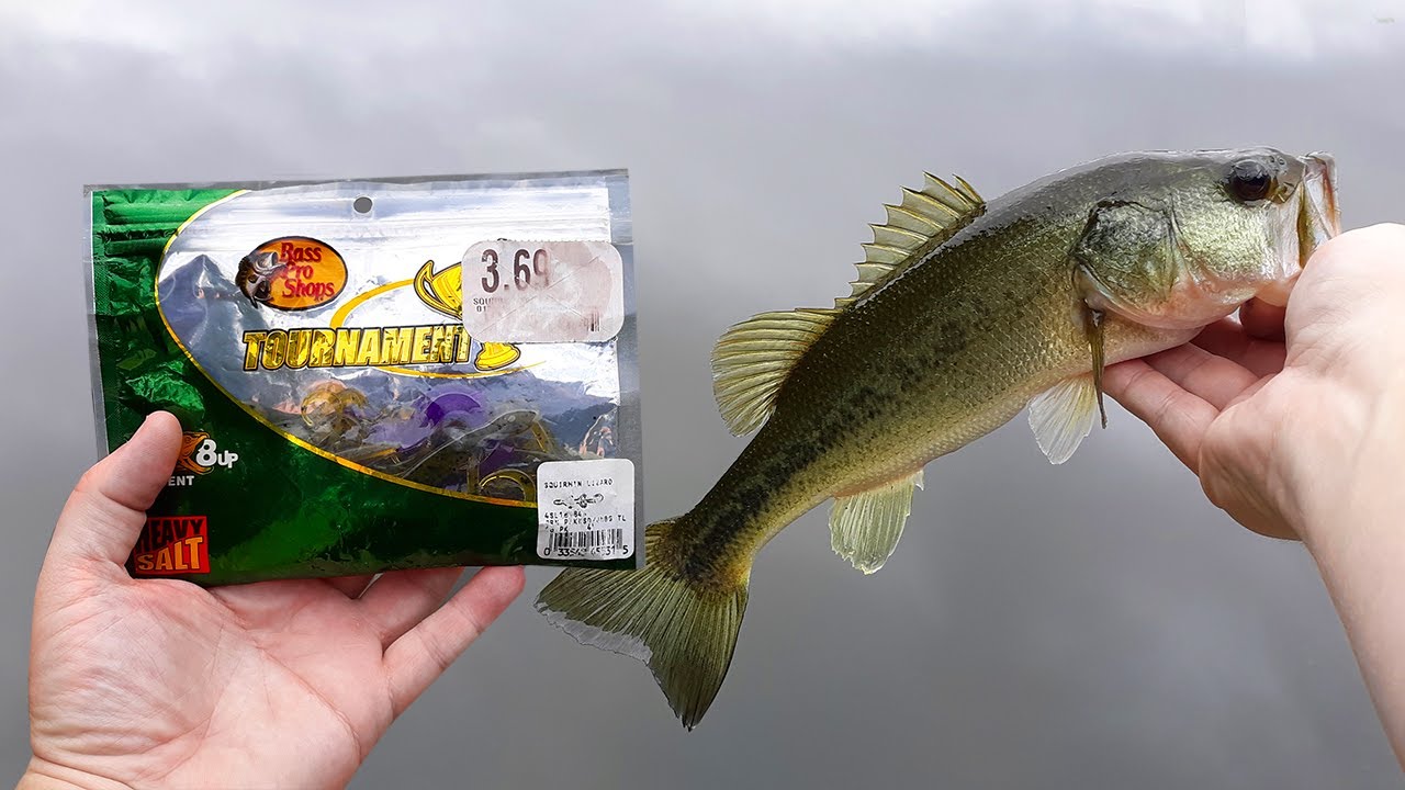 Bass Fishing with Bas Pro Shop Soft Plastic Lizards