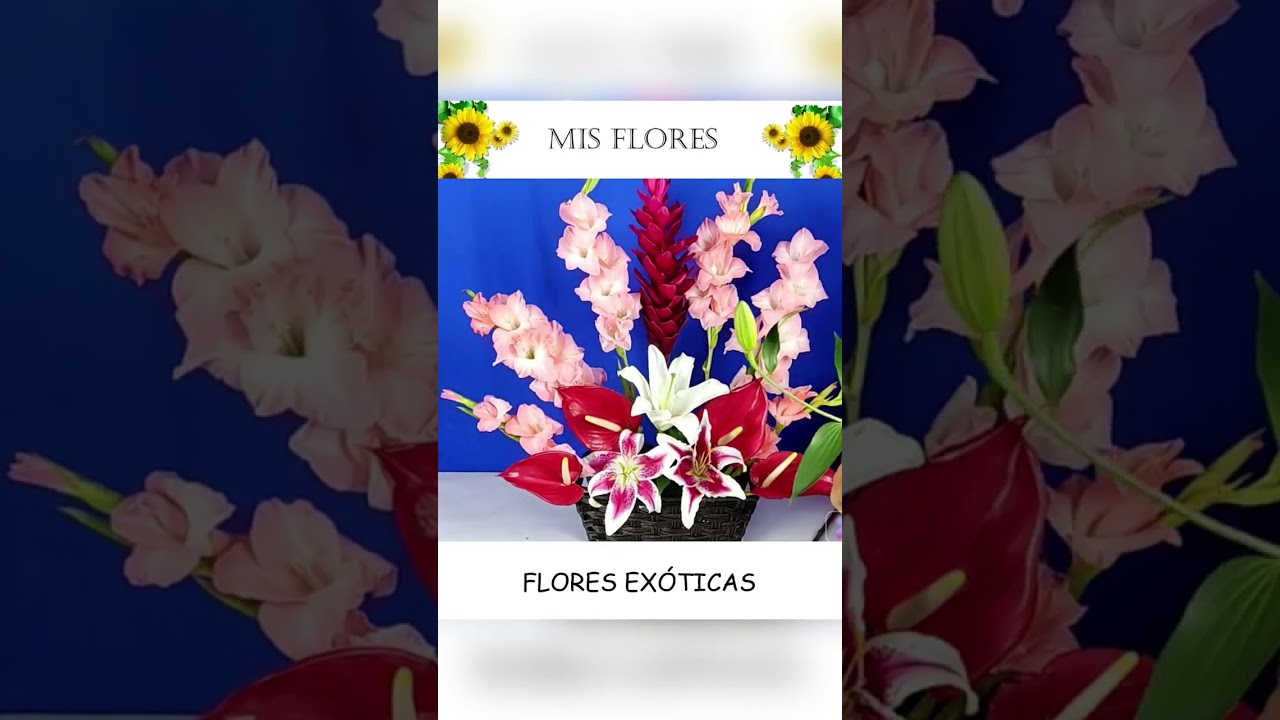 flores ex&oacute;ticas #rosas  #flowers  #flores