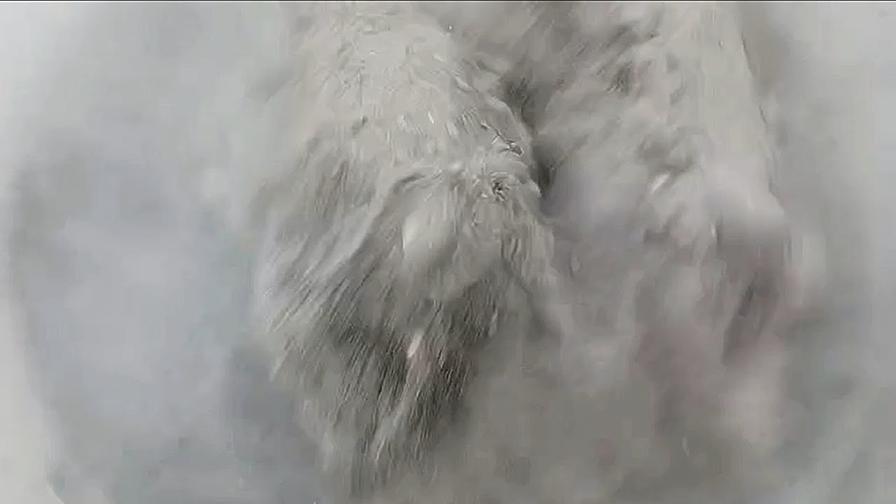 Masterpiece❤️NEW🔥Dusty🌪️Pure Charcoal Crumbling in Foamy Water #pasteplay #oddlysatisfying #asmr