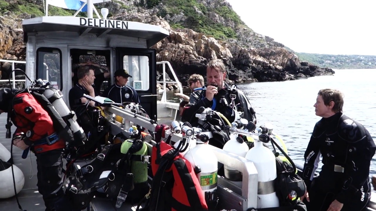 Scuba Diving, Sweden. Wreck of Franz, May 26th 2018