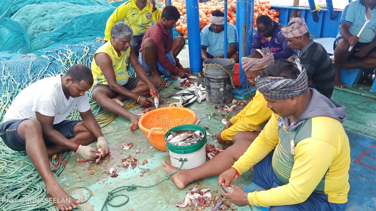 Nagai meenavan/கடலில் பிரமாண்ட மீன் குழம்பு சமையல்/ sea prepare in fish kulampu