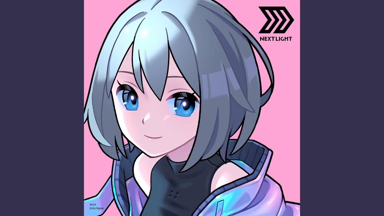 Echo Signal