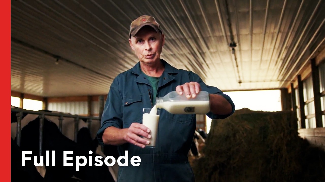 How Does Milk Become Gourmet Cheese? | Flat Out Food S2