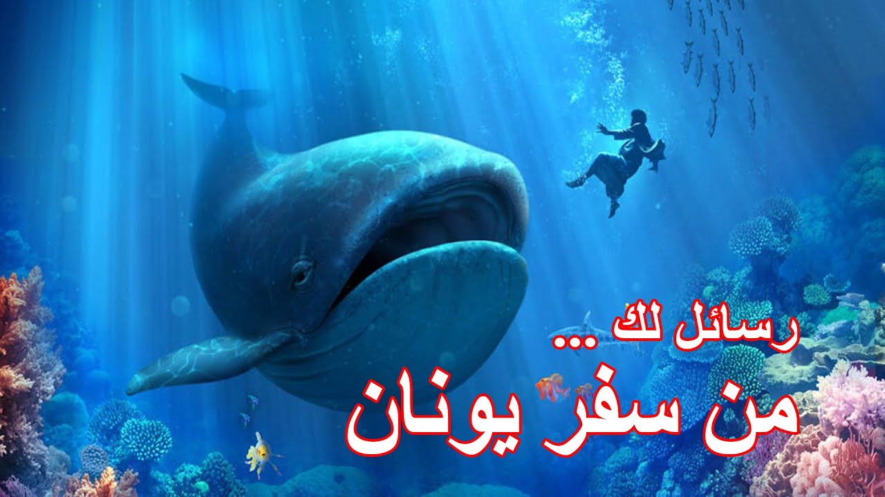 رسائل لك من سفر يونان...ابونا بيشوي نجيب