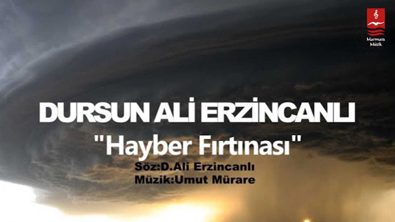 DURSUN ALİ ERZİNCANLI  