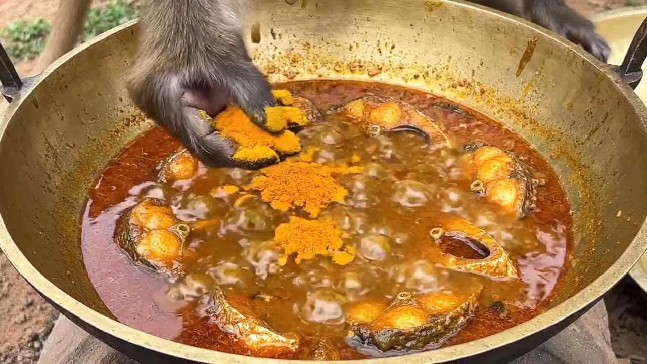 Real Monkey Catches & Cooks a Giant Golden Fish in the Jungle! 🐒🐟🔥
