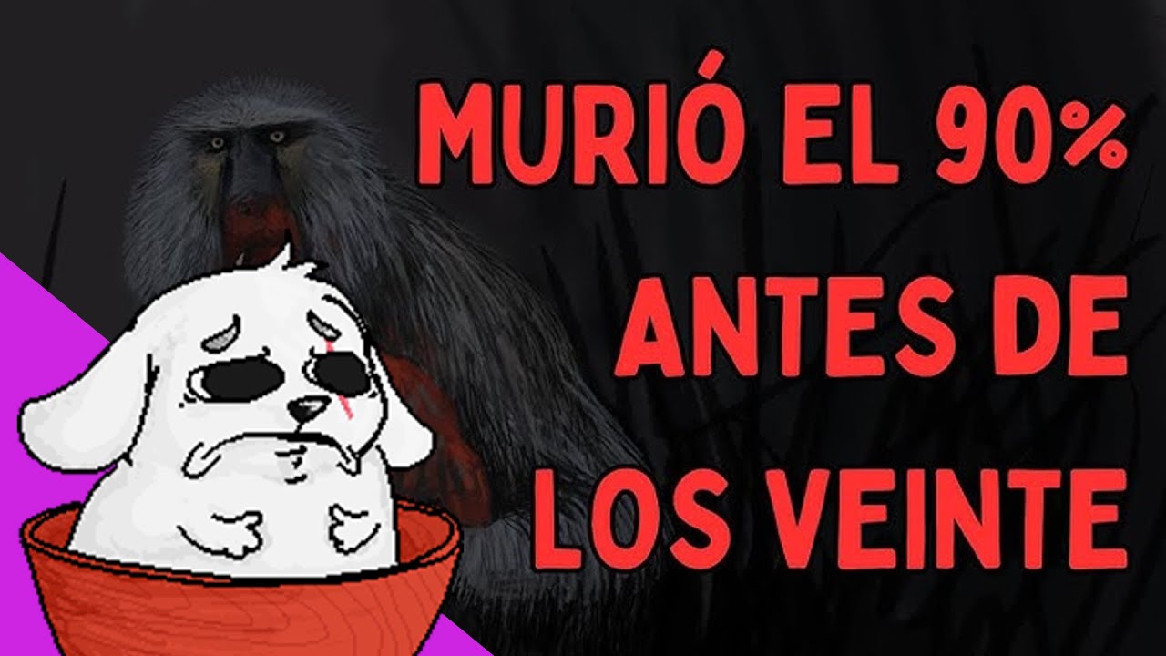 Huntleo reacciona a 