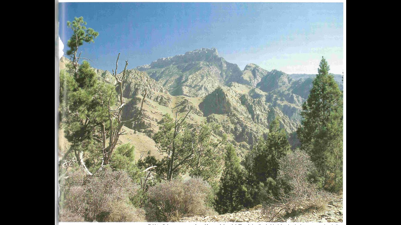 Aik Musafir Ki Duniya by Salman Rashid | E302 | Endangered Chilgoza
