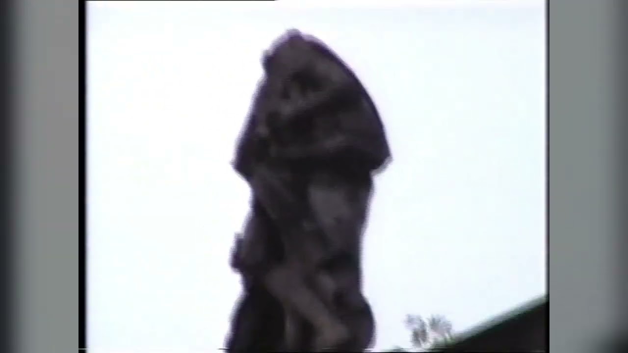 Palac Goszcz rok 1999