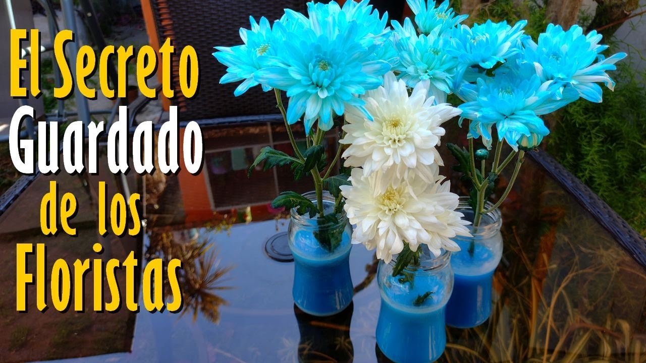 Un Jardinero me enseñó como teñir las FLORES Naturales