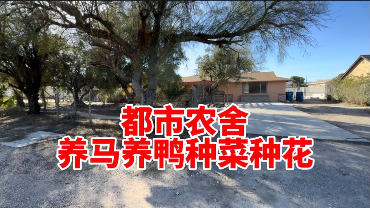 算上加建有2300尺 地大两万多尺 没有HOA 地税一千三 要价49万5