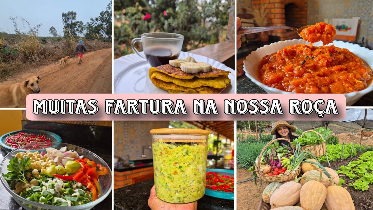 Colheita GIGANTE na horta |fazendo TEMPERO caseiro| doce de ABÓBORA  | PANQUECA de banana e ALMOÇO