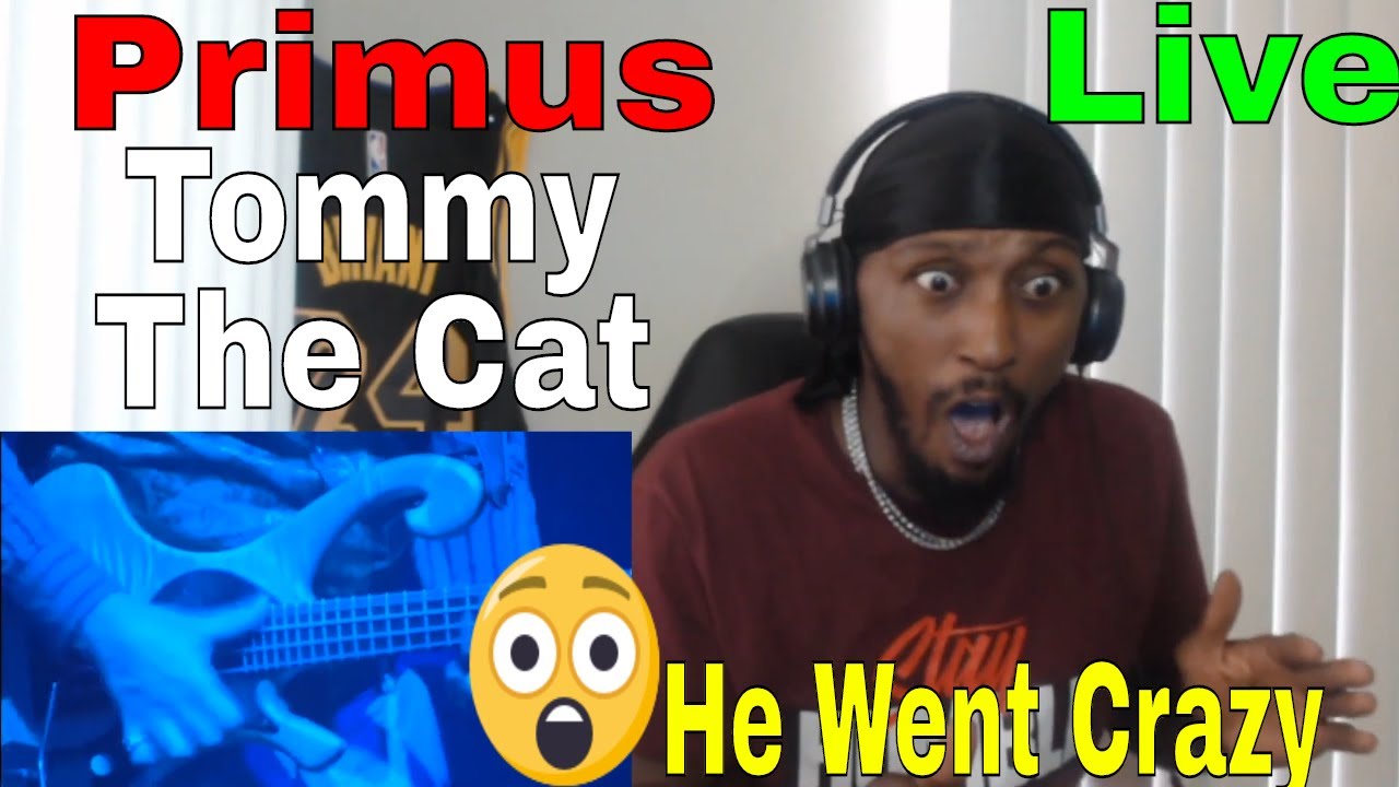 FIRST TIME LISTENING TO Primus 