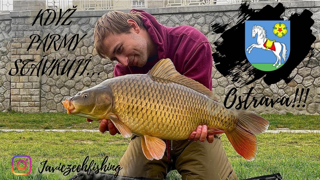 Výprava na parmy plná kaprů - Urban fishing Ostrava!!!