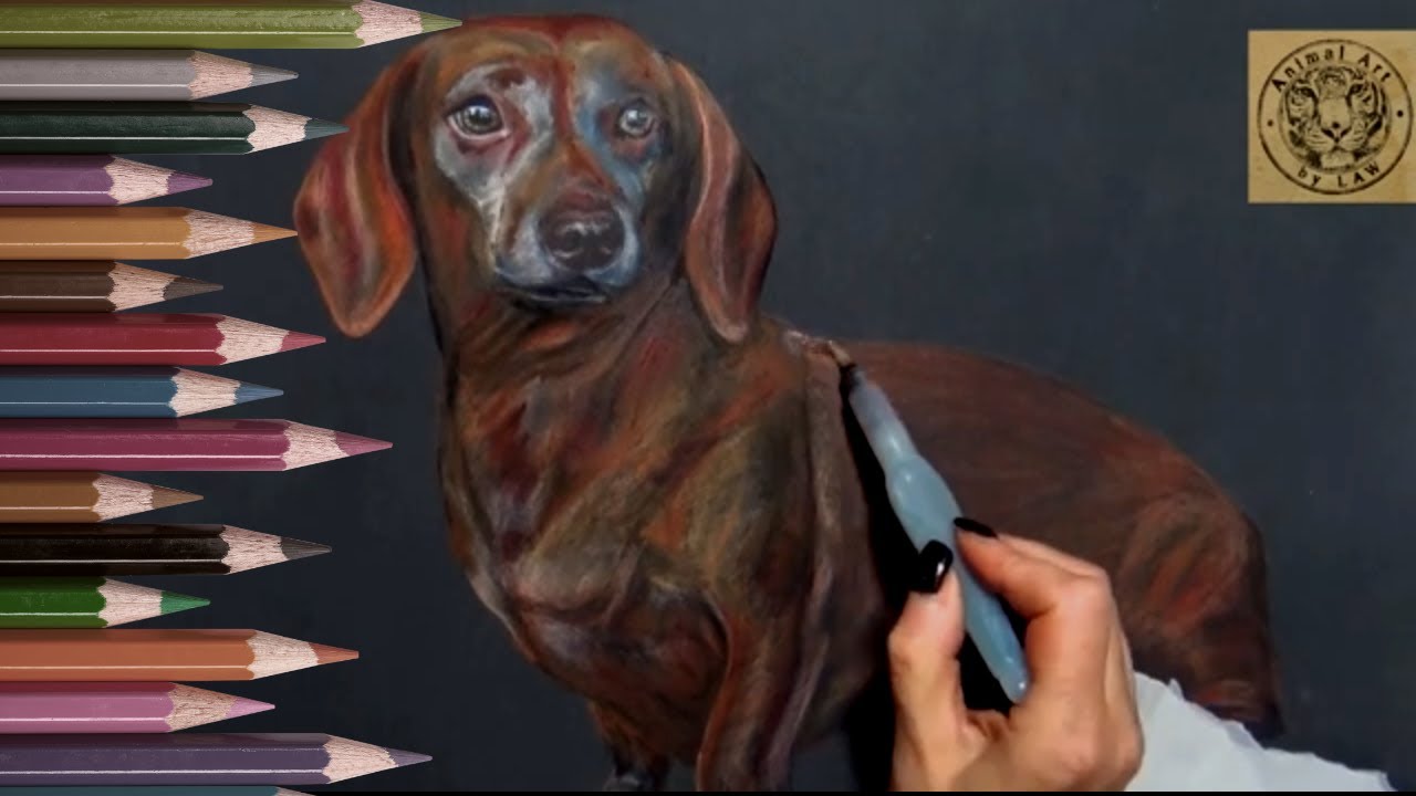 Watercolour Pencils - Adding water to create an underpainting on Pastelmat