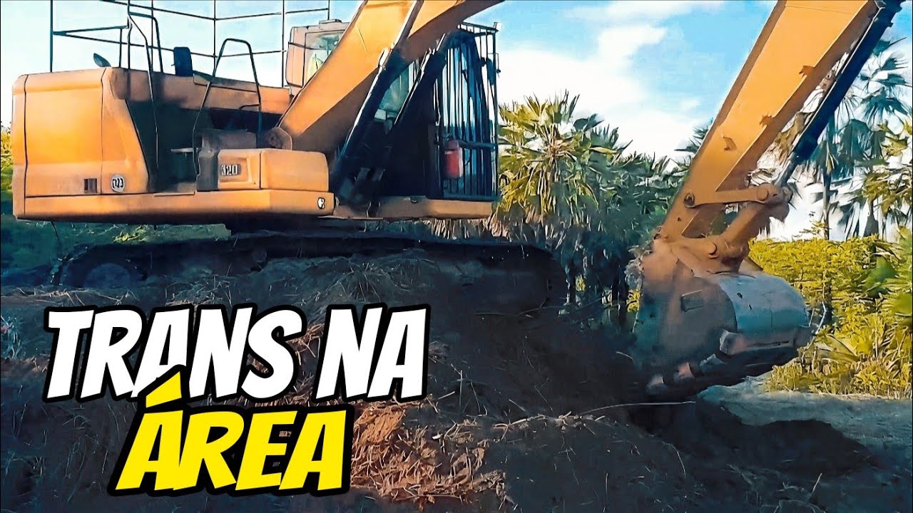 A TRANS NORDESTINA EM MINHA REGIÀO