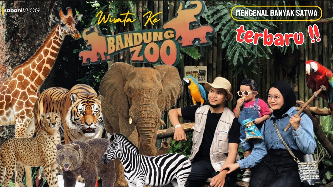 KEBUN BINATANG BANDUNG TERBARU | BANDUNG ZOO |mengenal banyak satwa