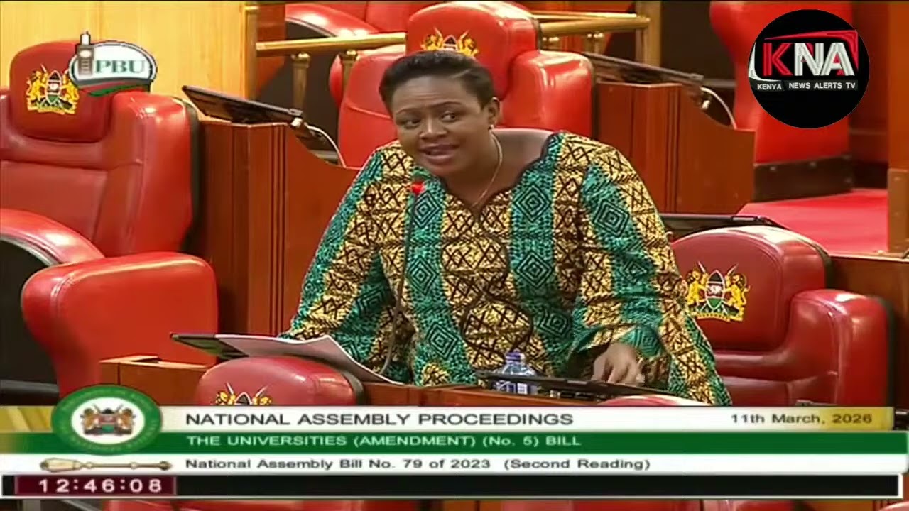 INCREDIBLE' LISTEN TO SABINA CHEGE  STANNING REMARKS DURING HER SUBMISSION IN PARLIAMENT