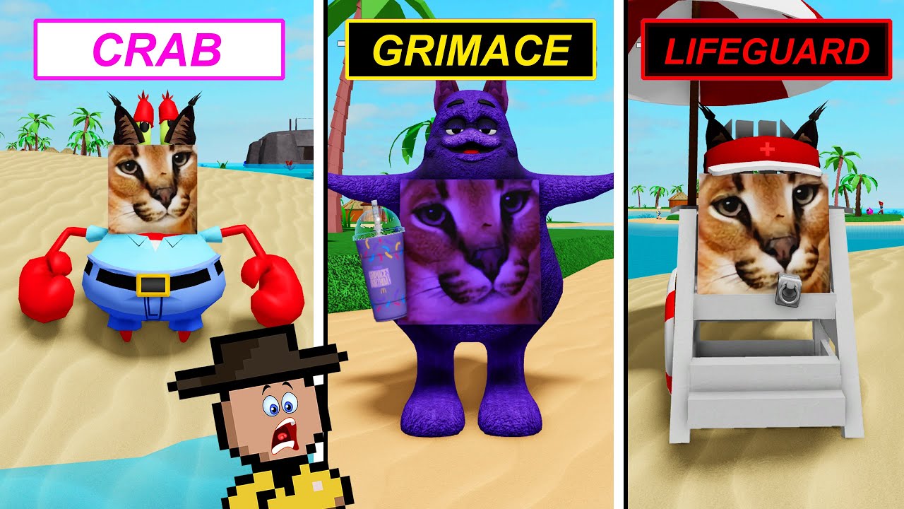 OS MORPHS DA ILHA DE FLOPPA (Roblox  Find The Floppa Morphs)