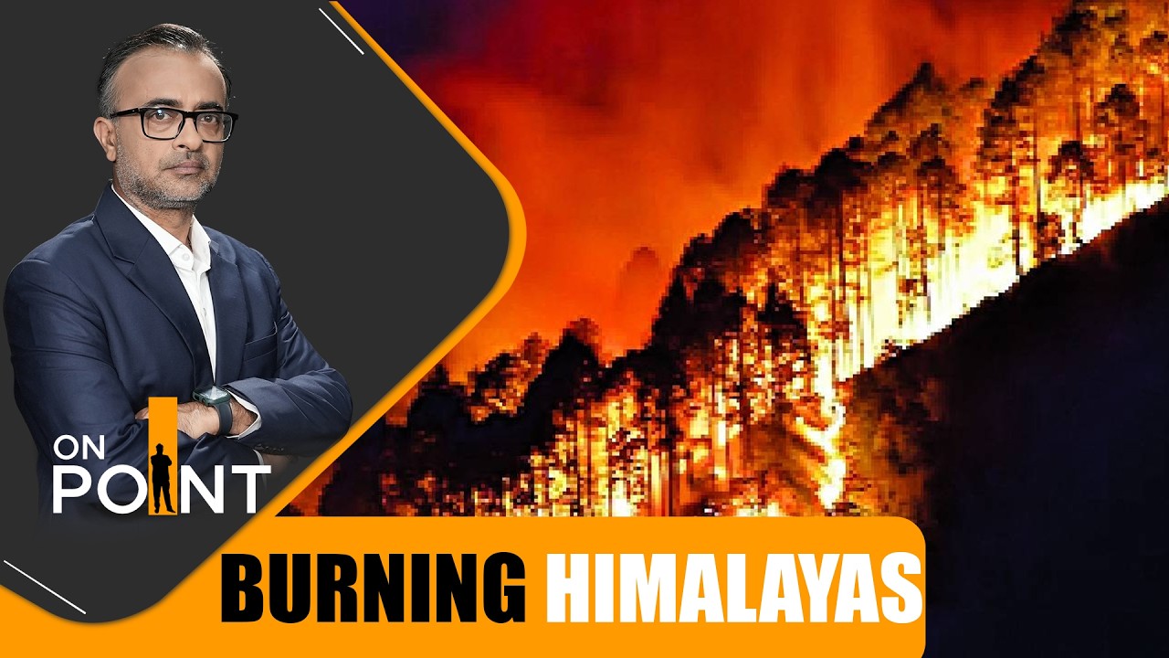 Massive Forest Fires Ravage Himalayan States, IAF Launches Rescue Operations | News9