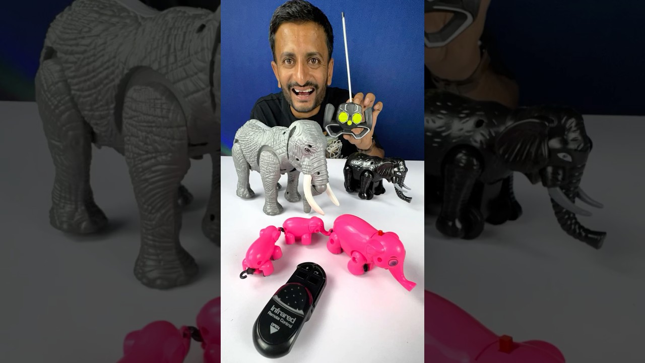 Remote control elephant unboxing |remote vala hathi