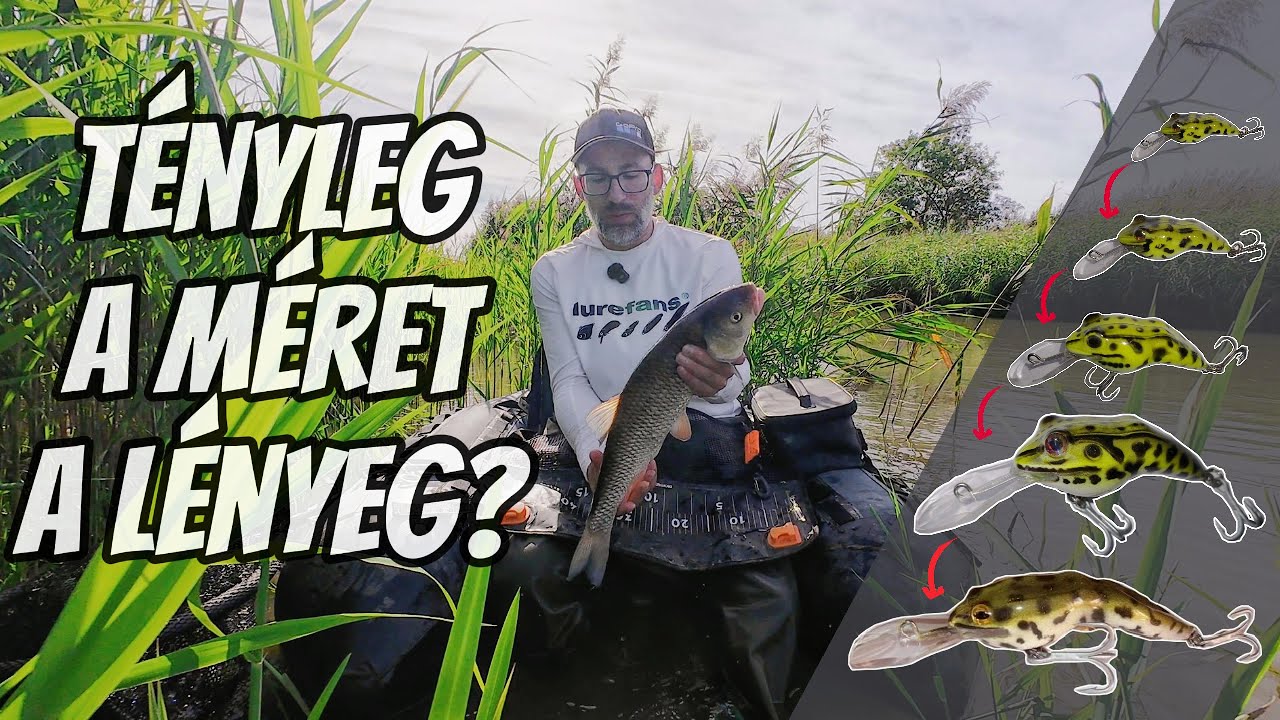 T&Eacute;NYLEG A M&Eacute;RET A L&Eacute;NYEG? - B&eacute;kamese -  avagy igaz&aacute;n nagy domolyk&oacute;k  NL b&eacute;k&aacute;val!