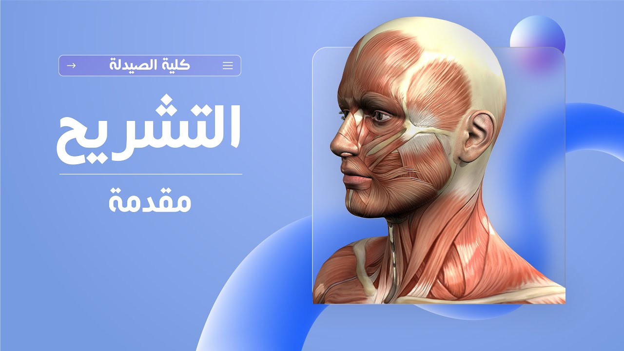 التشريح - المحاضرة الاولى | مقدمة | كلية الصيدلة