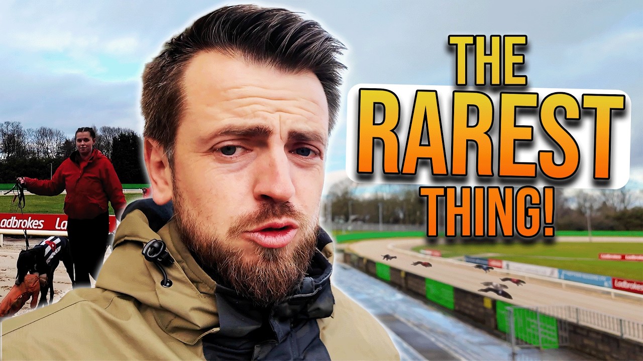 Something UNBELIEVABLE Happened During A Quiet Day Betting at Monmore!