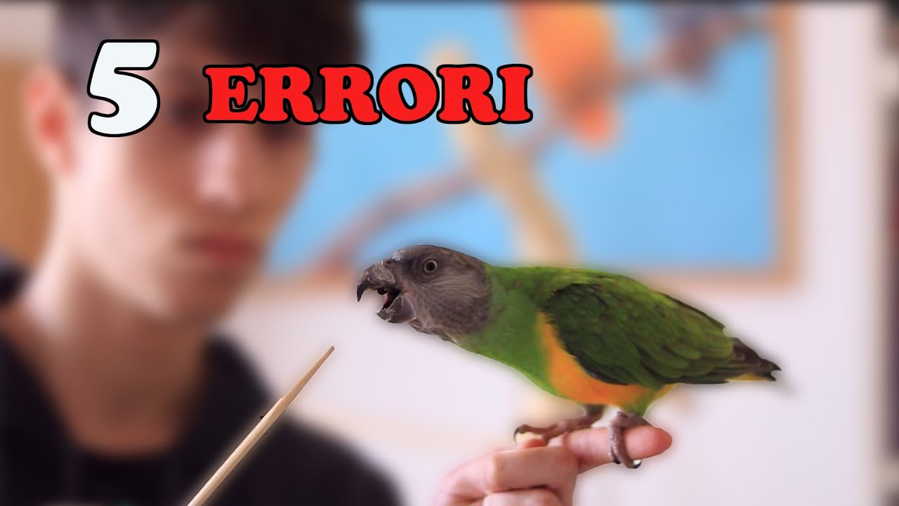 5 ERRORI da NON COMMETTERE con il TARGET