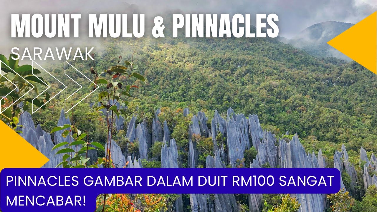 Mental koyakkk naik Gunung Mulu. Trek paling mencabar di Sarawak