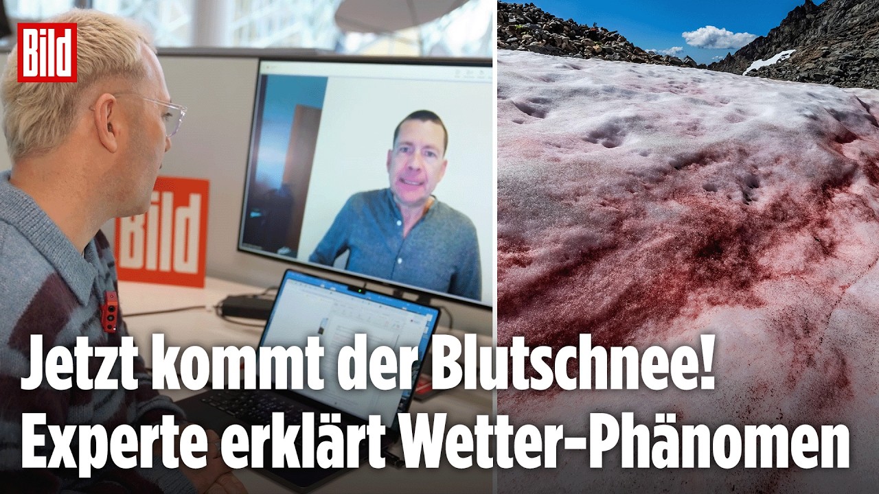 BLUTSCHNEE IN DEUTSCHLAND: Experte erklärt Ursachen des Wetter-Phänomens
