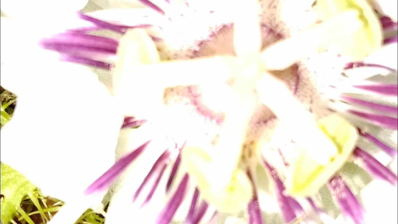 radhe radhe radhe 🙏🙏🙏