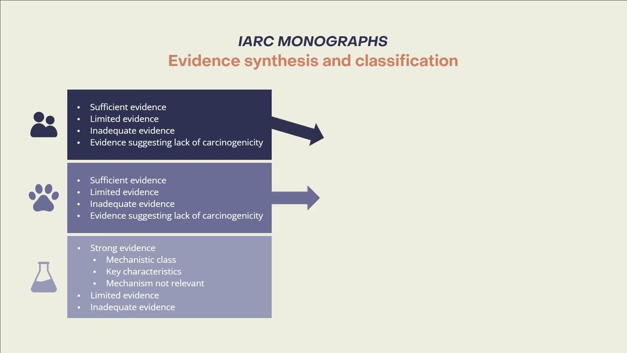 The IARC Monographs: Different types of evidence