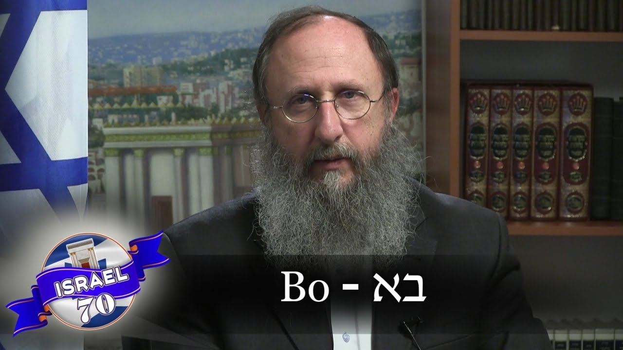 Weekly Torah Portion: Bo