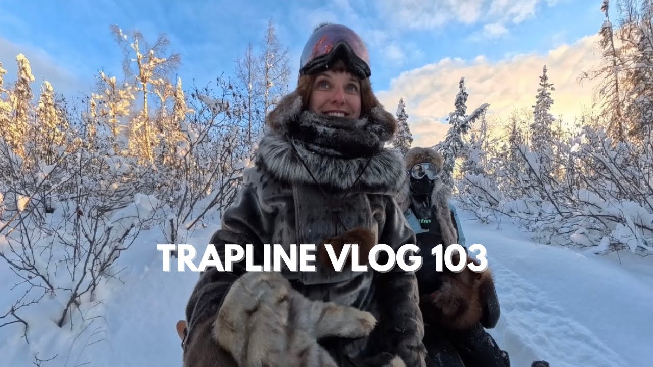 Alaska Trapline Vlog 103